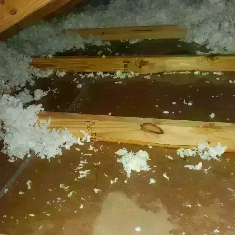 Attic Water Damage in Miami, FL