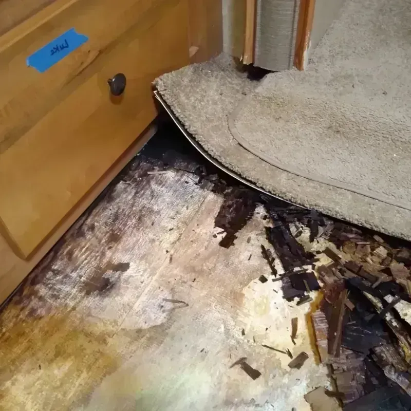 Wood Floor Water Damage in Miami, FL